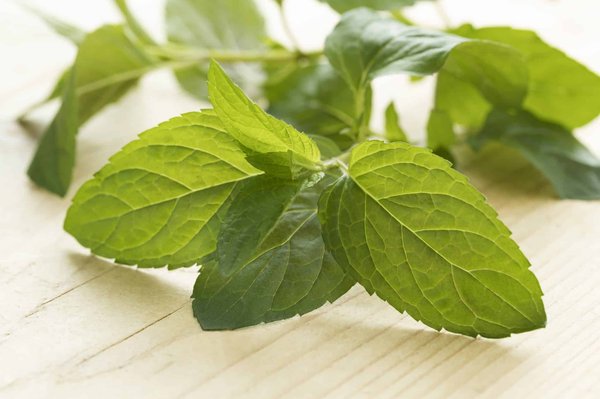 Comment le chocolat peut stimuler la créativité de vos employés et booster votre productivité ?